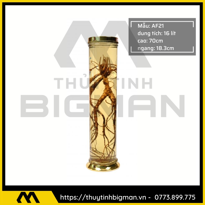 Bình Ngâm Rượu Hàn Quốc trên 15 lít đến 20 lít - 1