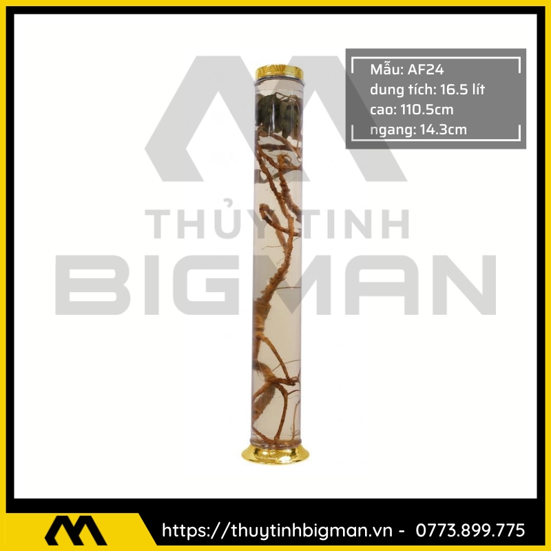 Bình Ngâm Rượu Hàn Quốc trên 15 lít đến 20 lít - 3