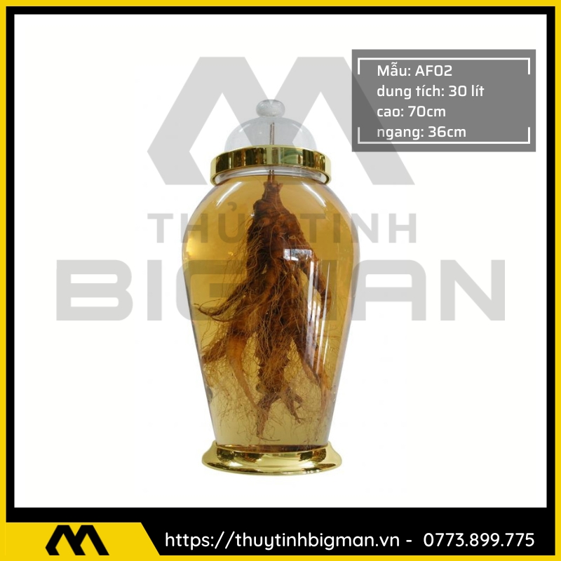 Bình Ngâm Rượu Hàn Quốc trên 20 lít đến 30 lít - 10