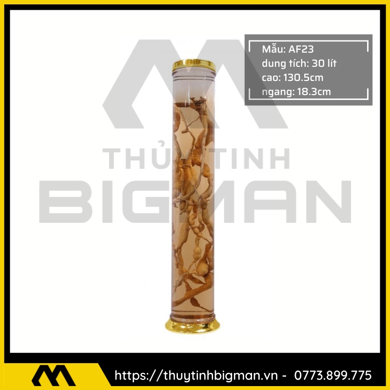 Bình Ngâm Rượu Hàn Quốc trên 20 lít đến 30 lít - 12
