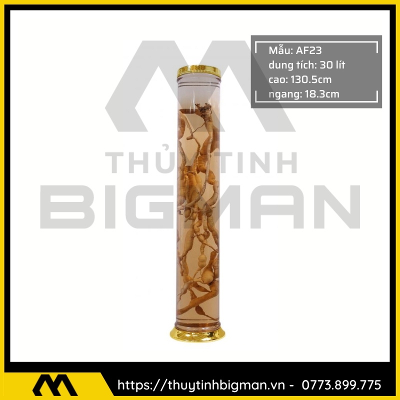 Bình Ngâm Rượu Hàn Quốc trên 20 lít đến 30 lít - 13
