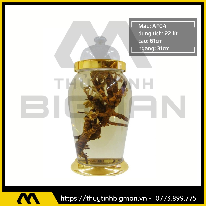 Bình Ngâm Rượu Hàn Quốc trên 20 lít đến 30 lít - 2