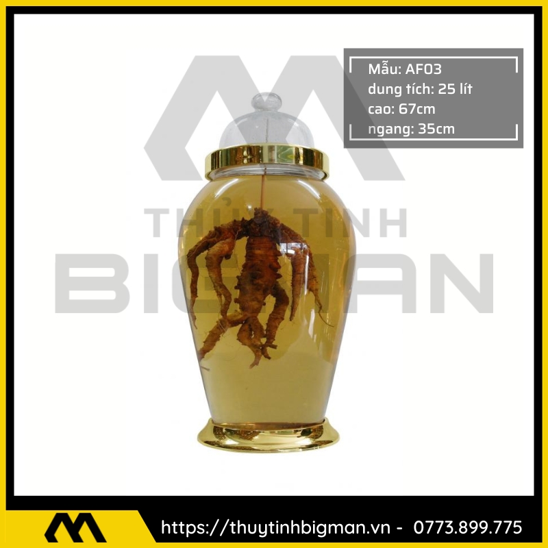 Bình Ngâm Rượu Hàn Quốc trên 20 lít đến 30 lít - 6
