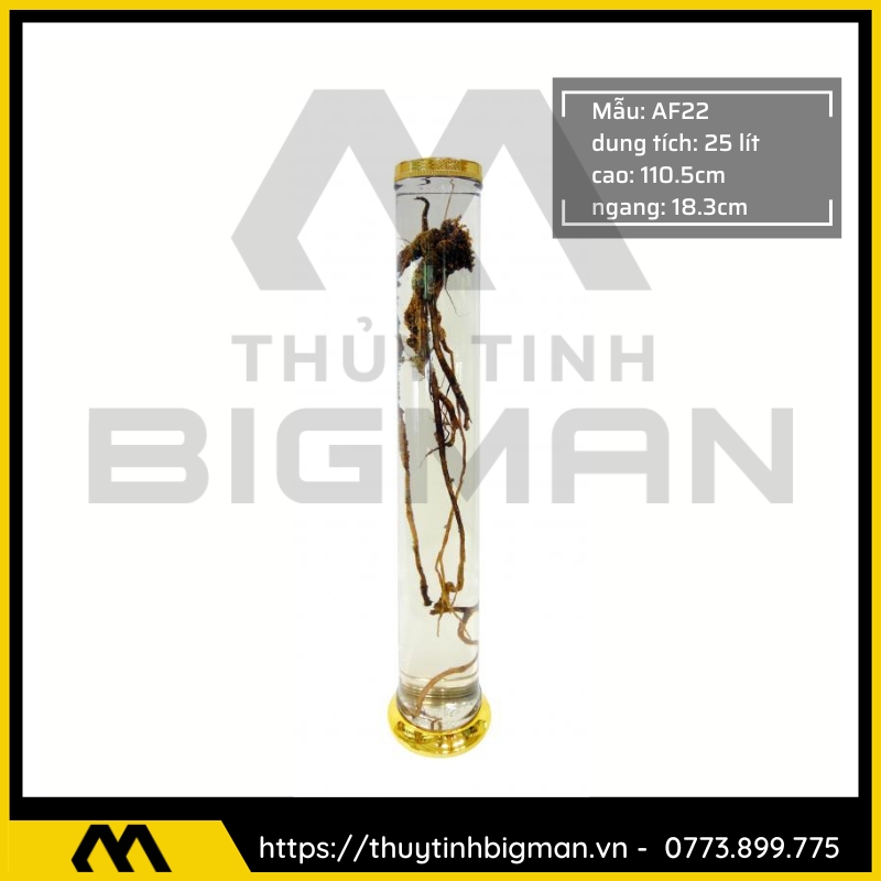 Bình Ngâm Rượu Hàn Quốc trên 20 lít đến 30 lít - 8