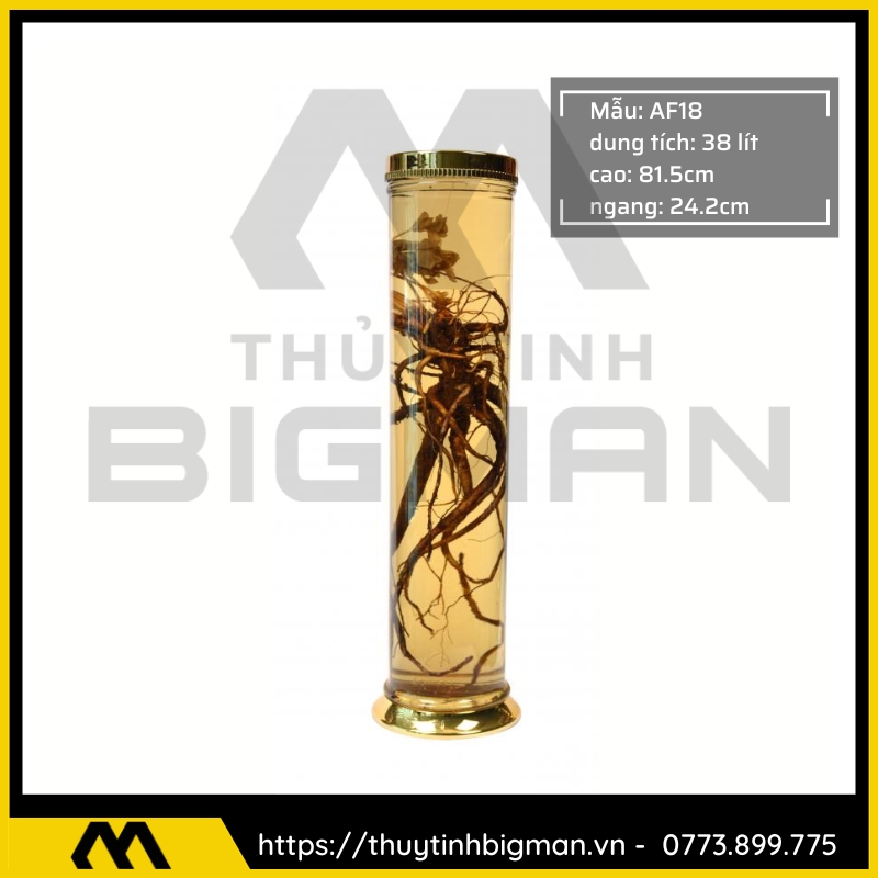 Bình Ngâm Rượu Hàn Quốc trên 30 lít - 1