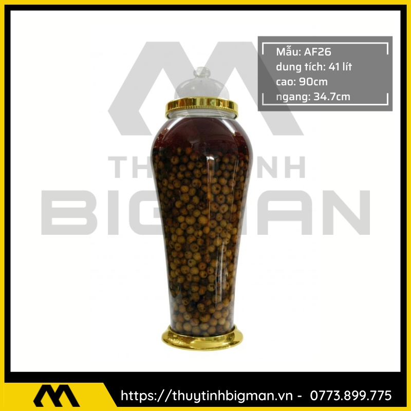 Bình Ngâm Rượu Hàn Quốc trên 30 lít - 2