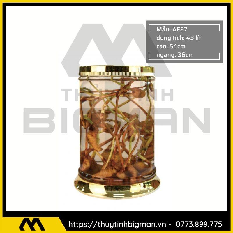 Bình Ngâm Rượu Hàn Quốc trên 30 lít - 4
