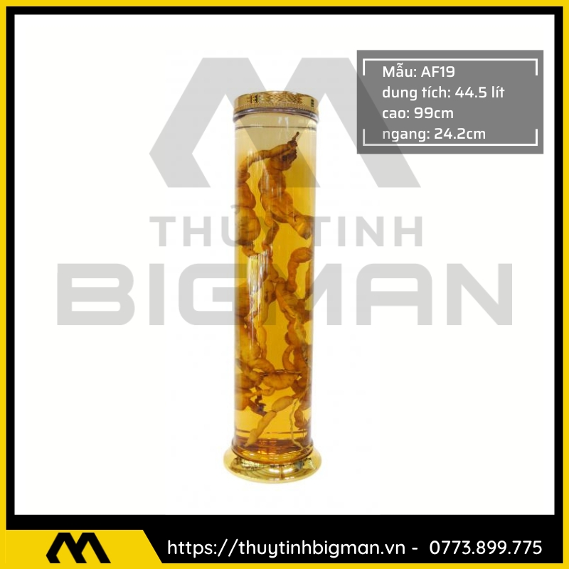 Bình Ngâm Rượu Hàn Quốc trên 30 lít - 5