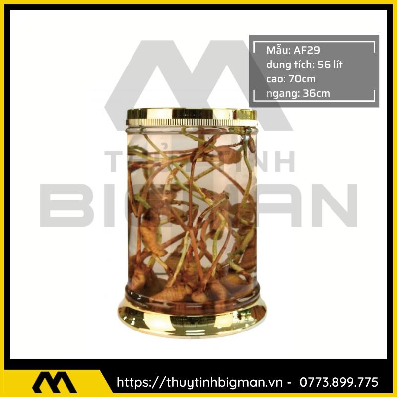 Bình Ngâm Rượu Hàn Quốc trên 30 lít - 6