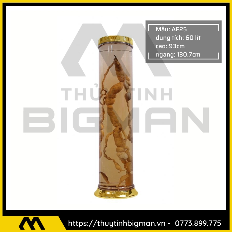 Bình Ngâm Rượu Hàn Quốc trên 30 lít - 7