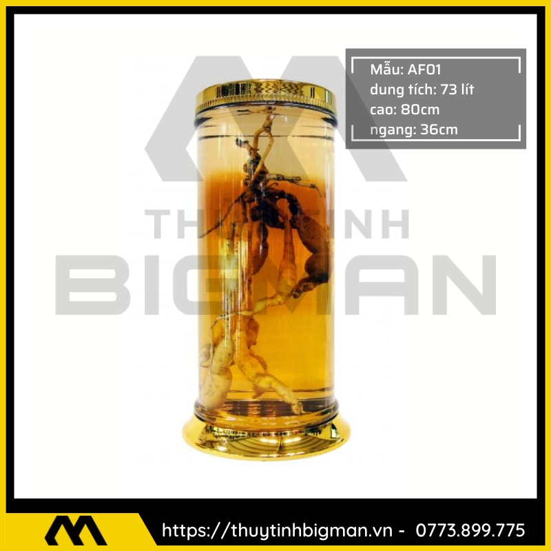 Bình Ngâm Rượu Hàn Quốc trên 30 lít - 8