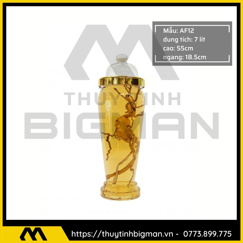 thuy tinh bigman - Bình sâm hàn quốc - Bình ngâm rượu hàn quốc 20