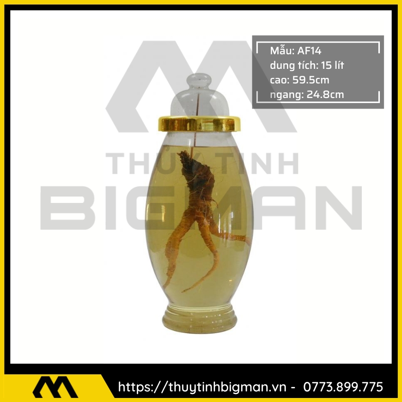 thuy tinh bigman - Bình sâm hàn quốc - Bình ngâm rượu hàn quốc 22