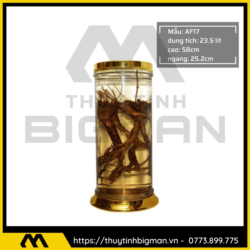 thuy tinh bigman - Bình ngâm rượu hàn quốc - Bình sâm hàn quốc 25