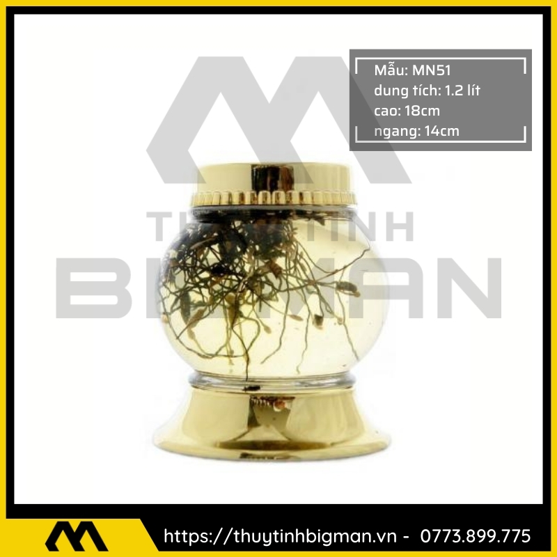Bình sâm Hàn Quốc dung tích từ 1 lít đến 5 lít - 1