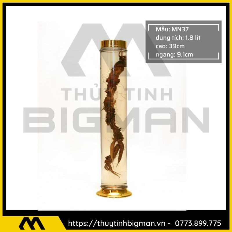 Bình sâm Hàn Quốc dung tích từ 1 lít đến 5 lít - 13