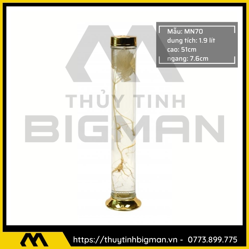 Bình sâm Hàn Quốc dung tích từ 1 lít đến 5 lít - 14