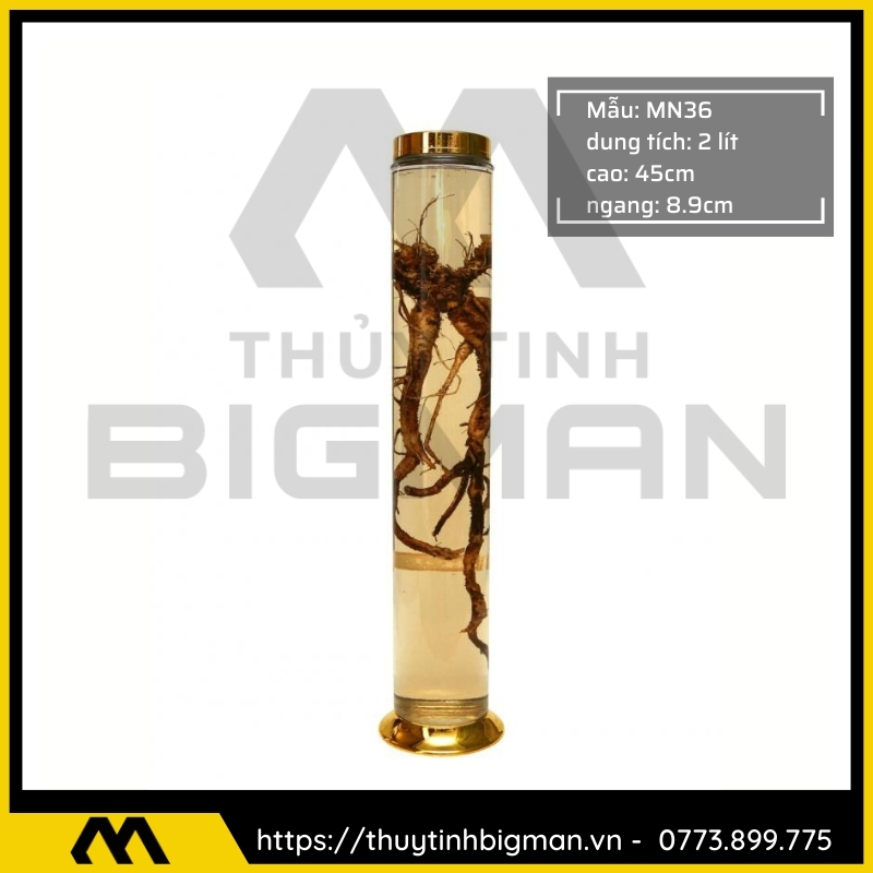 Bình sâm Hàn Quốc dung tích từ 1 lít đến 5 lít - 17