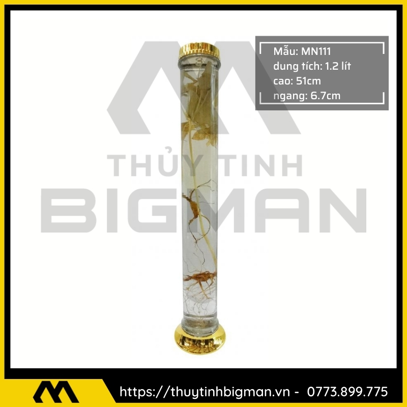 Bình sâm Hàn Quốc dung tích từ 1 lít đến 5 lít - 2