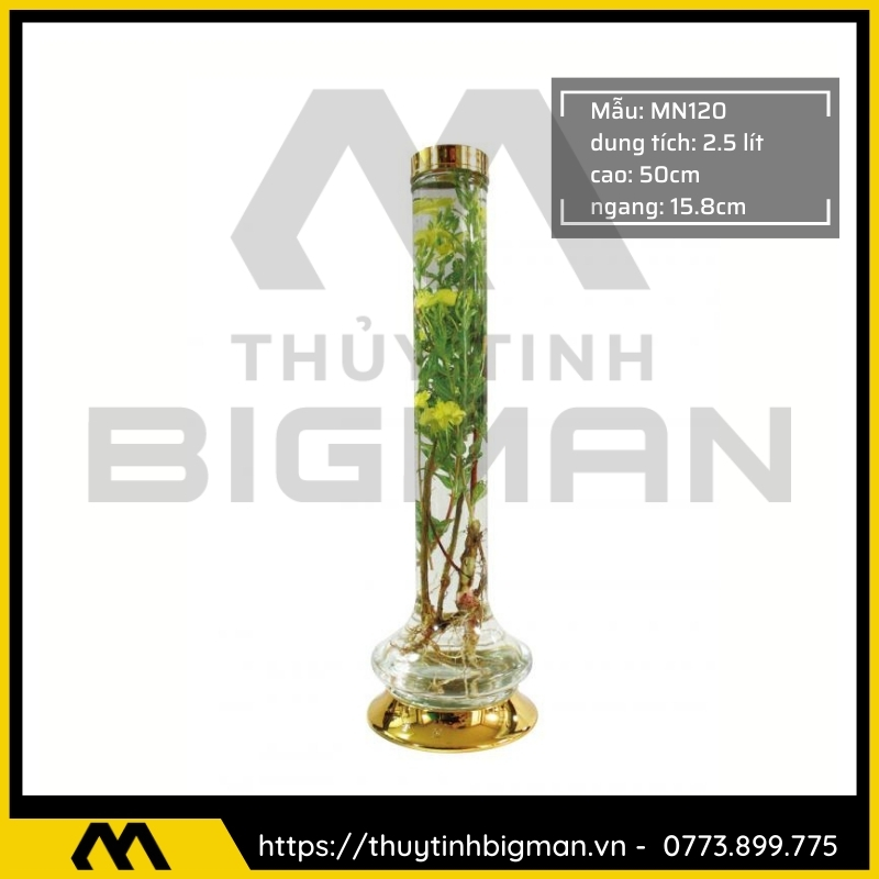 Bình sâm Hàn Quốc dung tích từ 1 lít đến 5 lít - 29
