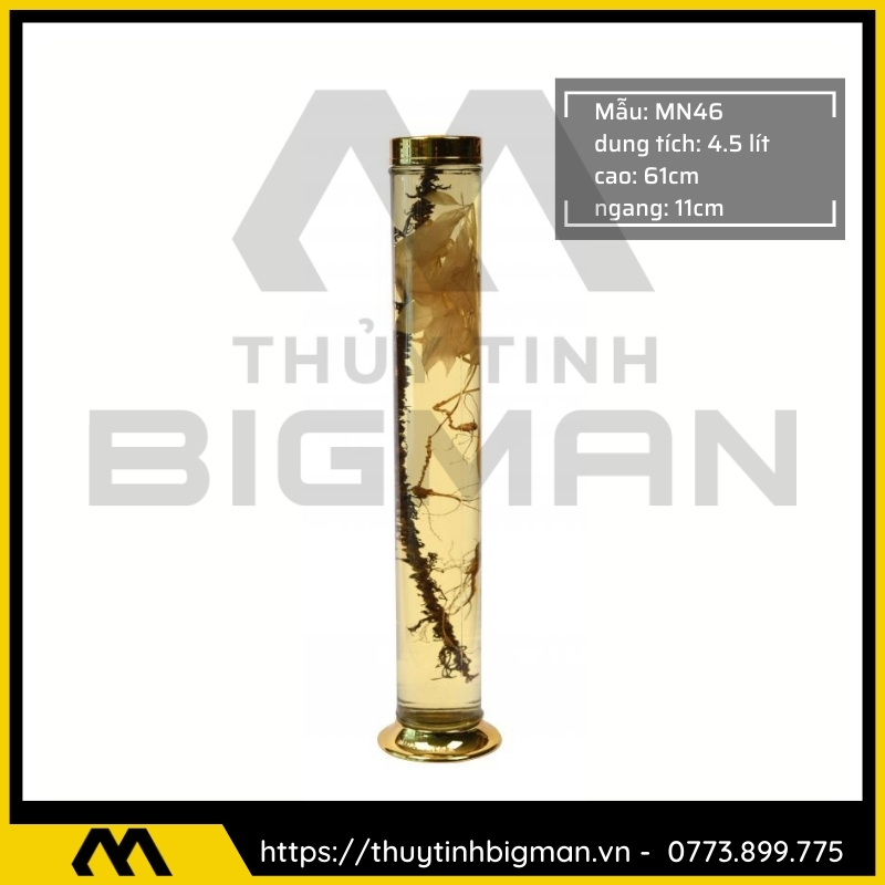 Bình sâm Hàn Quốc dung tích từ 1 lít đến 5 lít - 56