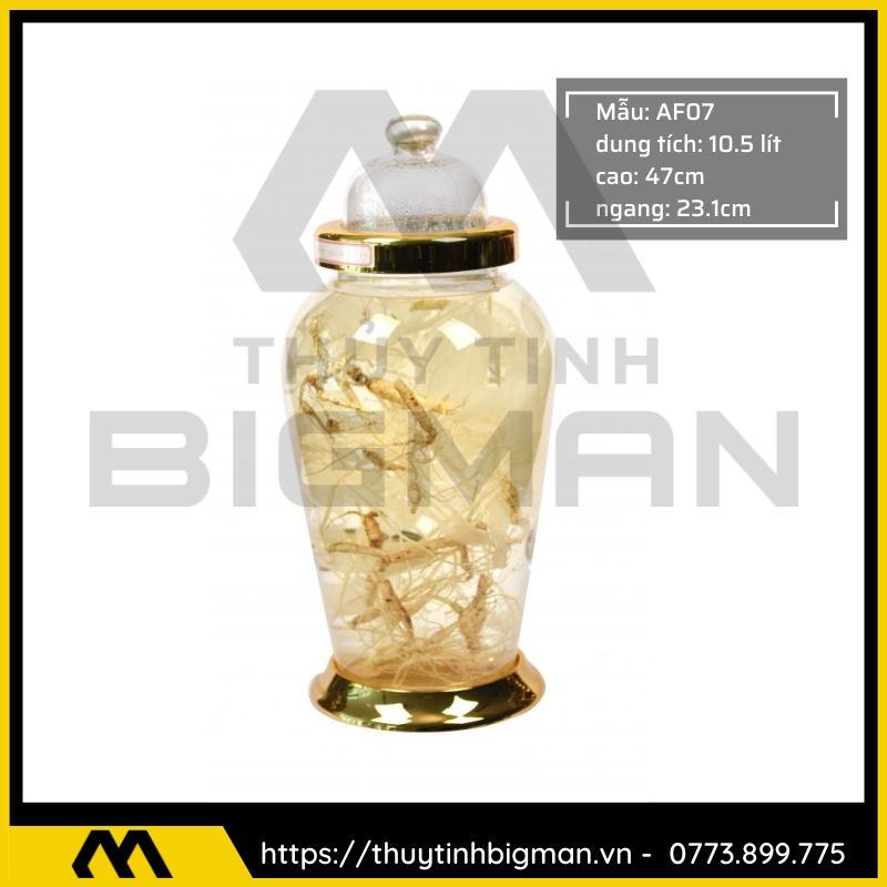 Bình sâm Hàn Quốc dung trên 5 lít đến 10 lít - 1
