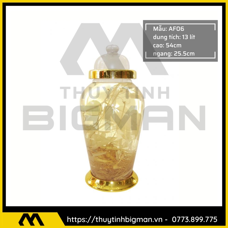 Bình sâm Hàn Quốc dung trên 5 lít đến 10 lít - 10