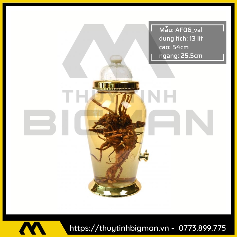 Bình sâm Hàn Quốc dung trên 5 lít đến 10 lít - 11