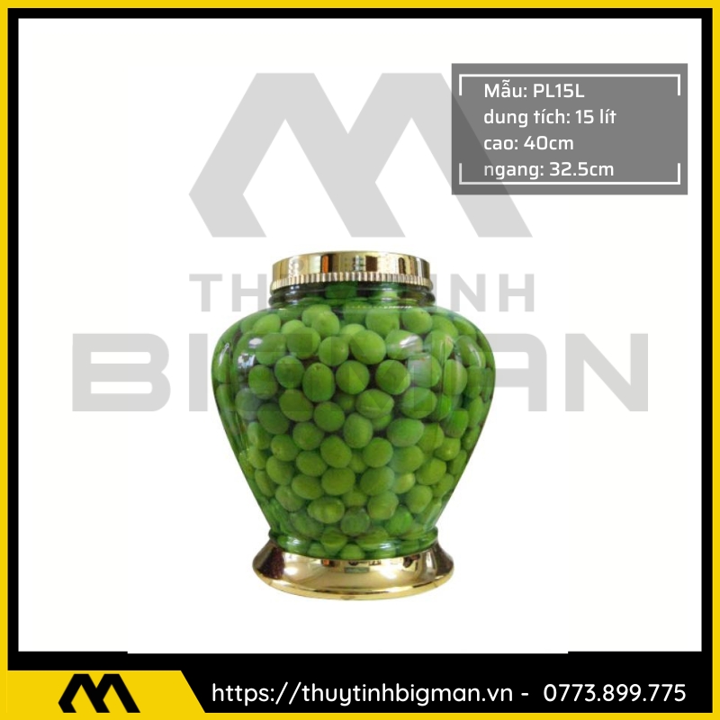 Bình sâm Hàn Quốc dung trên 5 lít đến 10 lít - 16