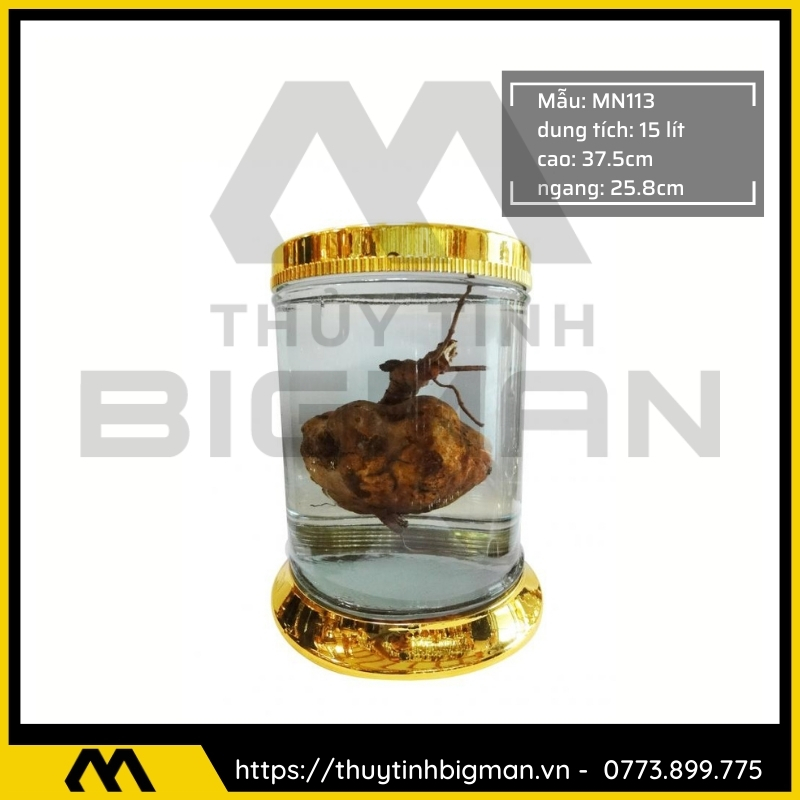 Bình sâm Hàn Quốc dung trên 5 lít đến 10 lít - 17