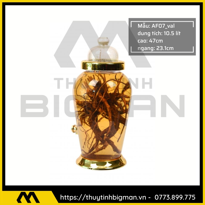 Bình sâm Hàn Quốc dung trên 5 lít đến 10 lít - 2