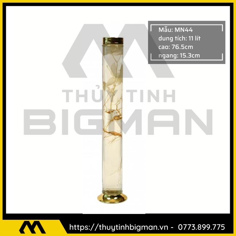 Bình sâm Hàn Quốc dung trên 5 lít đến 10 lít - 3