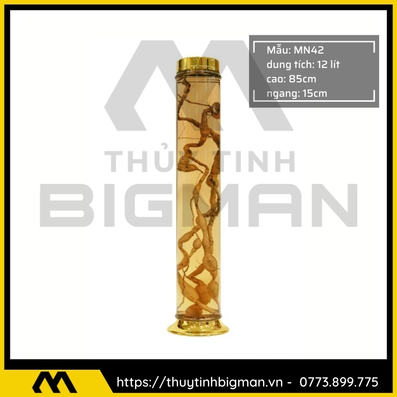 Bình sâm Hàn Quốc dung trên 5 lít đến 10 lít - 8