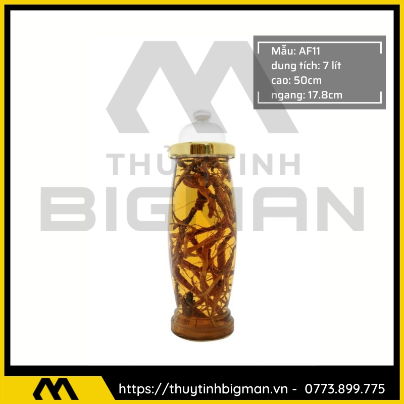 Bình sâm Hàn Quốc dung trên 5 lít đến 10 lít - 11