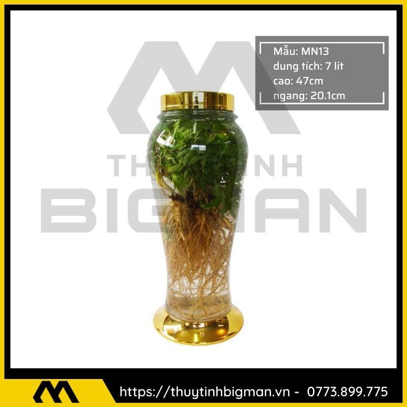 Bình sâm Hàn Quốc dung trên 5 lít đến 10 lít - 12