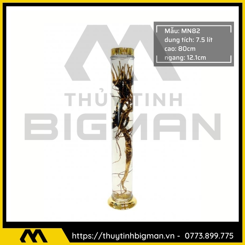 Bình sâm Hàn Quốc dung trên 5 lít đến 10 lít - 13