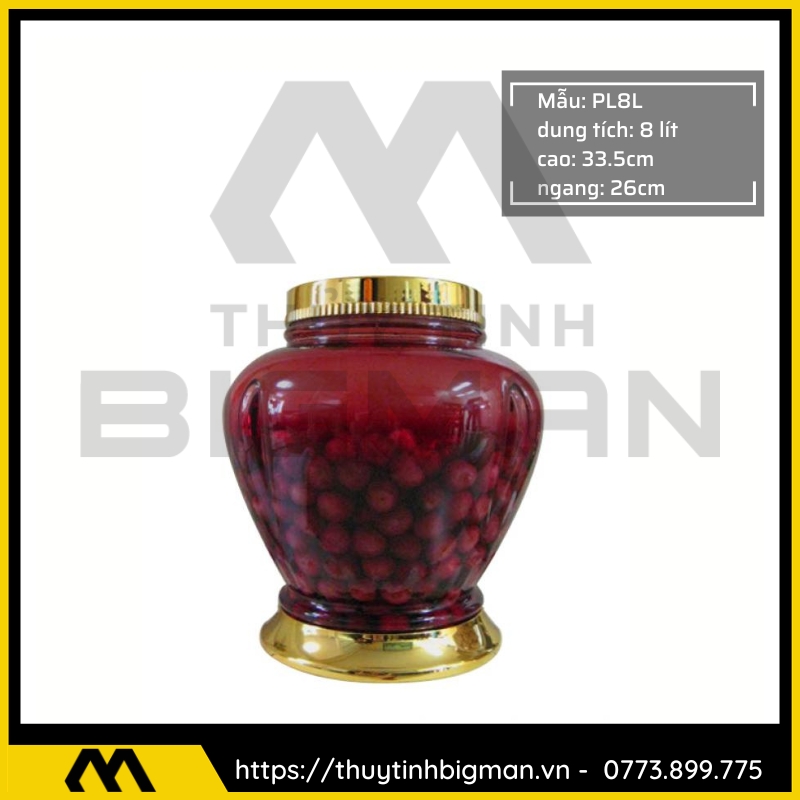 Bình sâm Hàn Quốc dung trên 5 lít đến 10 lít - 14