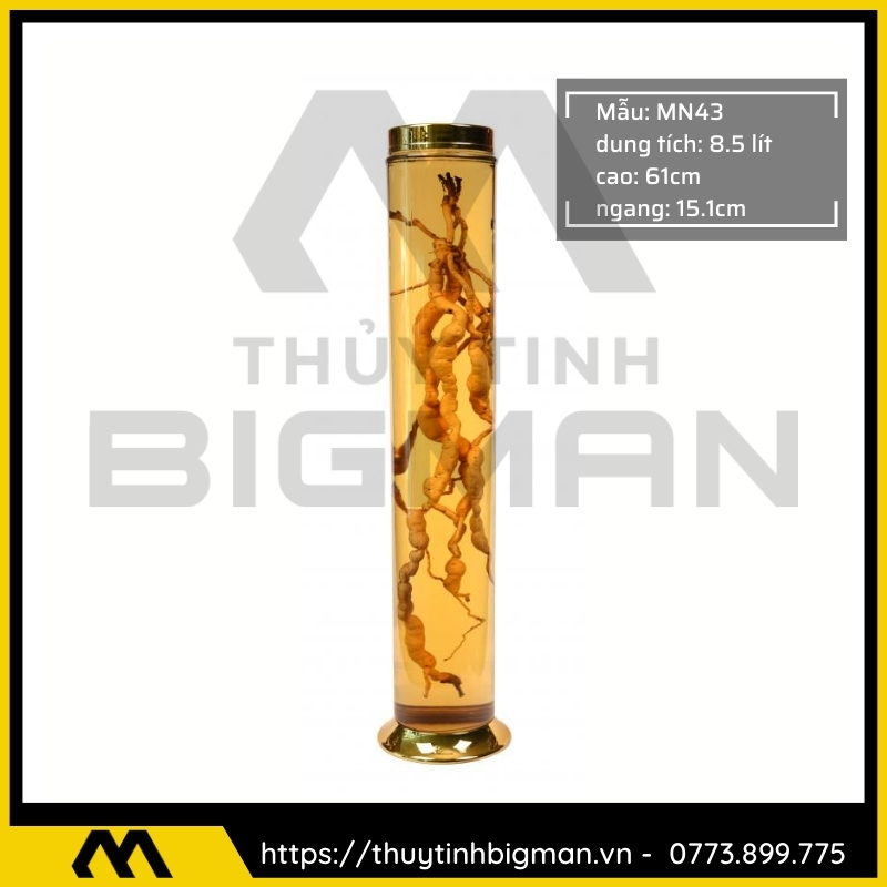 Bình sâm Hàn Quốc dung trên 5 lít đến 10 lít - 16
