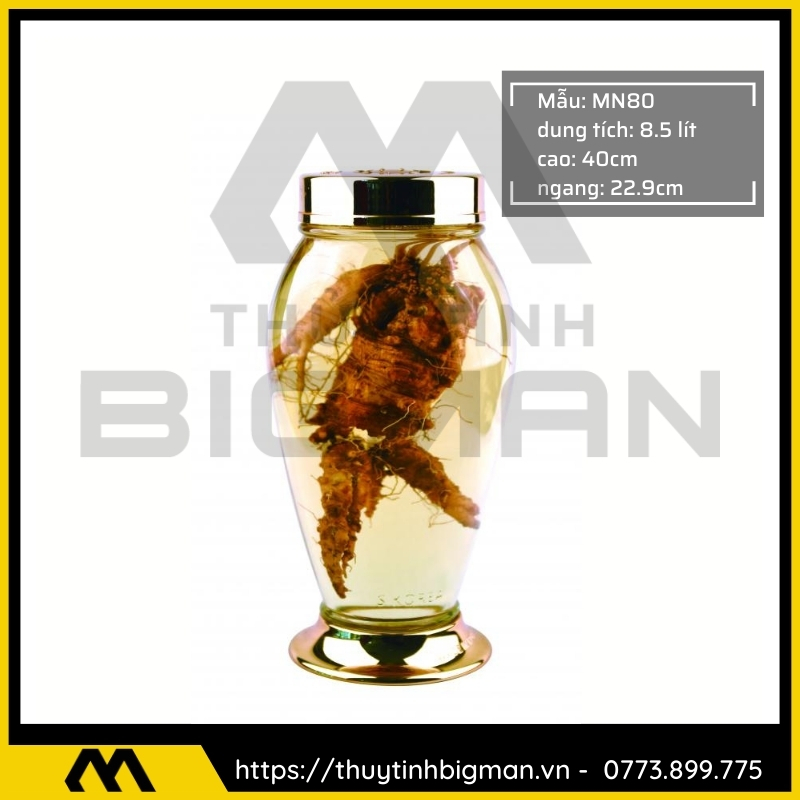 Bình sâm Hàn Quốc dung trên 5 lít đến 10 lít - 17