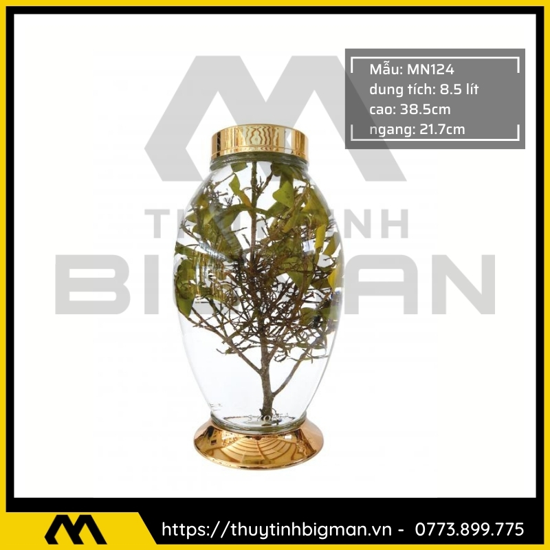 Bình sâm Hàn Quốc dung trên 5 lít đến 10 lít - 19