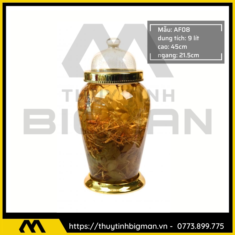 Bình sâm Hàn Quốc dung trên 5 lít đến 10 lít - 20