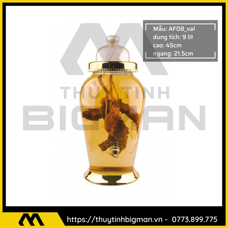 Bình sâm Hàn Quốc dung trên 5 lít đến 10 lít - 21