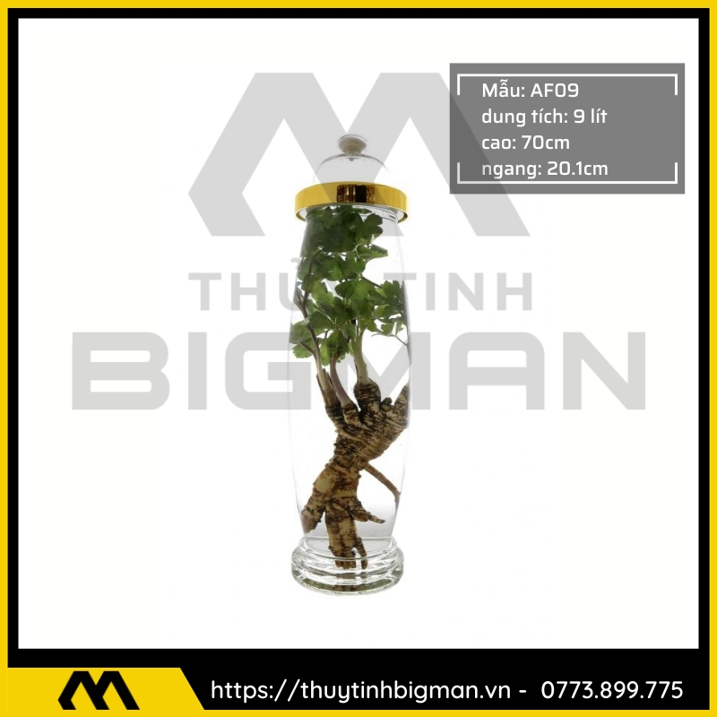 Bình sâm Hàn Quốc dung trên 5 lít đến 10 lít - 22