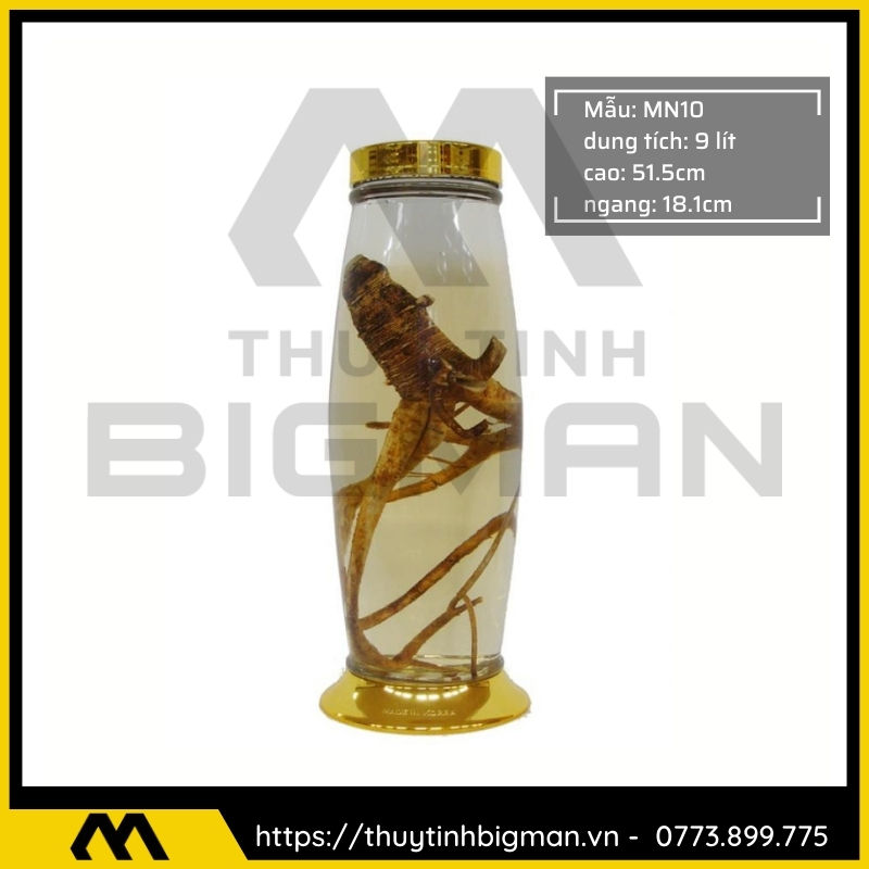Bình sâm Hàn Quốc dung trên 5 lít đến 10 lít - 23