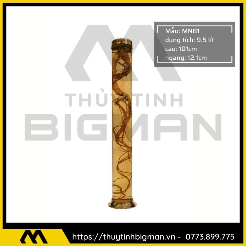 Bình sâm Hàn Quốc dung trên 5 lít đến 10 lít - 24