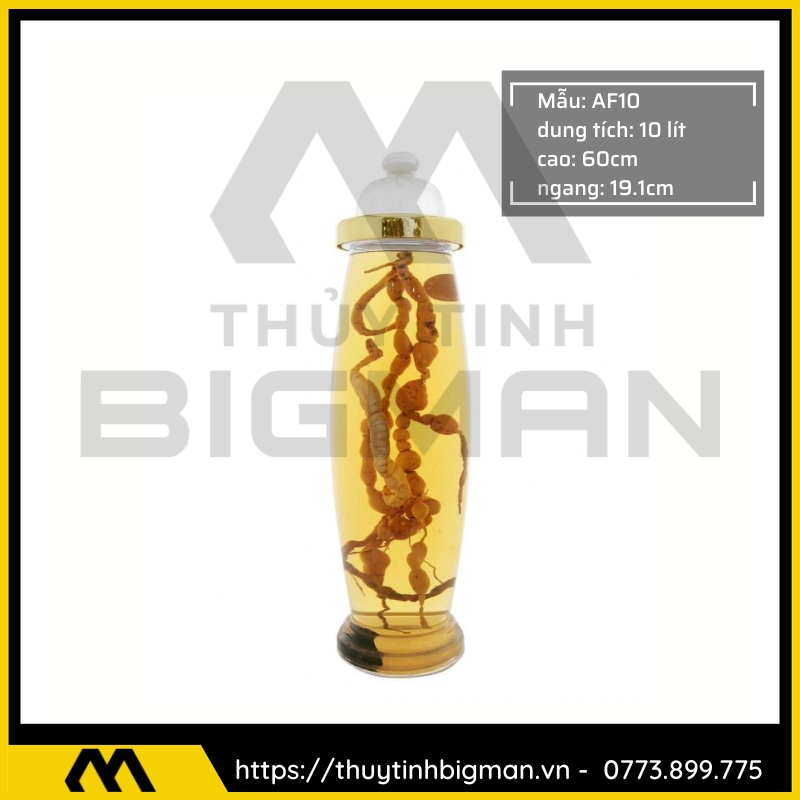 Bình sâm Hàn Quốc dung trên 5 lít đến 10 lít - 25