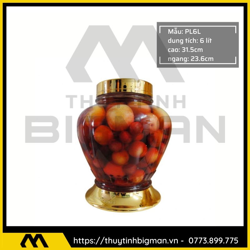 Bình sâm Hàn Quốc dung trên 5 lít đến 10 lít - 5
