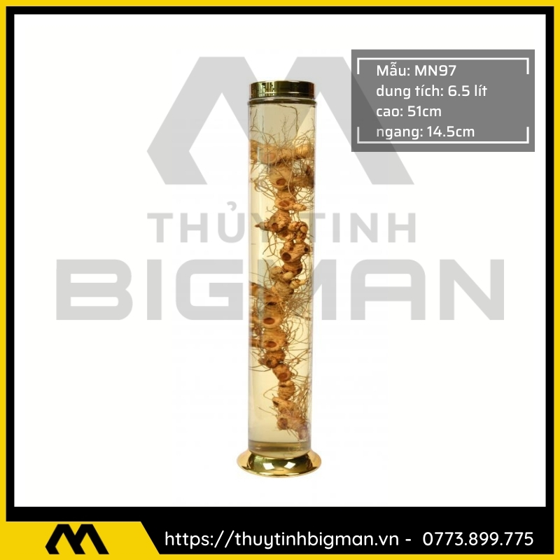 Bình sâm Hàn Quốc dung trên 5 lít đến 10 lít - 9