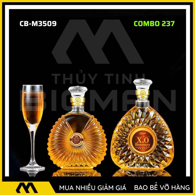 Bộ 2 chai thủy tinh đựng rượu - Vỏ chai rượu đẹp mẫu 37